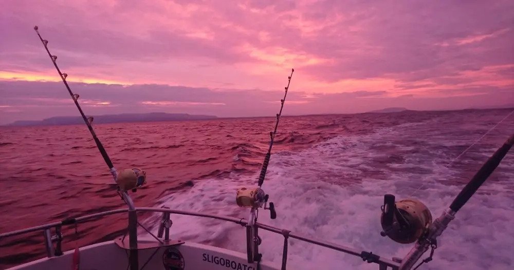 Dusk View on the Bluefin Charter