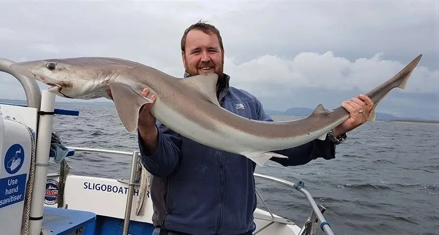 Shark Catch on the Full Day Charter 
